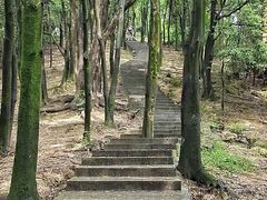 -火炉山森林公园