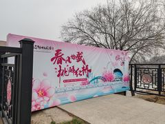-桃花堤公园