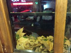 -米屋石锅拌饭(师大店)