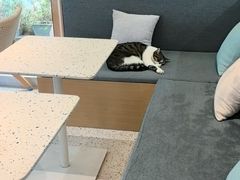 -苏州姑苏小院·东花里酒店