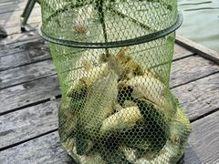 -人民广场-地下停车场