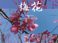 -花开海上生态园