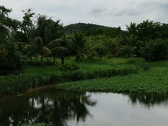 -沙美村