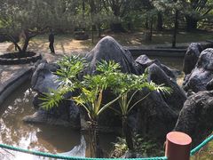 -古佛洞天