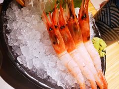 -舞漁日料美人胶原锅(陆家嘴中心店)