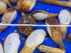 -喜聚薈·花膠雞海鮮火鍋(越秀店)
