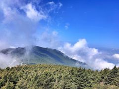 -白草畔自然风景区