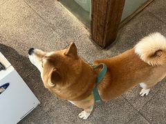 -三目仓咖啡(贤南路店)