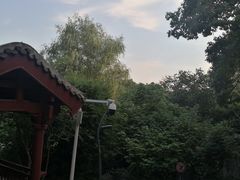 -雨湖公园