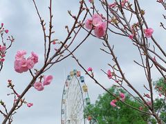 -观澜湖生态运动公社