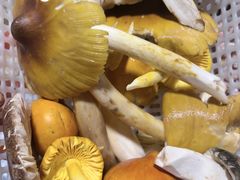 -菌之家·专业纯野生菌火锅·特色炒菌