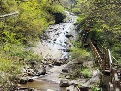 -青峰峡国家森林公园