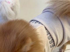 -怪兽屋·羊驼·猫咖·狗咖(俊华广场店)