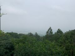 -阳台山自然风景区