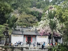 -深圳国际园林花卉博览园