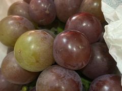 -马陆小张葡萄园农家乐