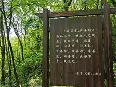 -句容茅山景区