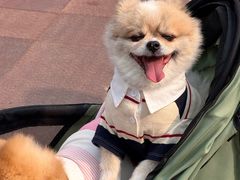 -京津佛罗伦萨小镇