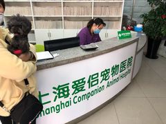 -爱侣宠医·鹦鹉专科·小型哺乳类·异宠专科(灵石路店)