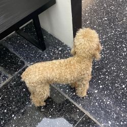 -Hair Co.一间沙龙