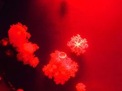 -福州罗源湾海洋世界旅游区