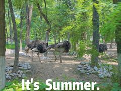 -北京野生动物园