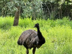 -杭州野生动物世界