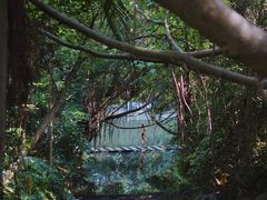 -燕晗山郊野公园