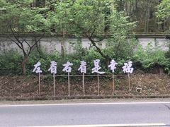 -小小饭店·休闲农庄·安吉松树林里的农家菜