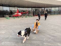 -哈尔滨大剧院