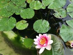 iphone_upload_pic-蠡湖大桥公园