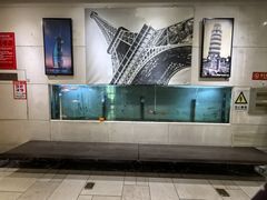 -赛纳河休闲商务会馆(天宁寺店)