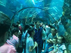 -乐从天佑城海洋馆