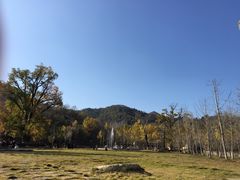 -千年银杏谷文化旅游区