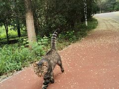 -北京凤凰岭