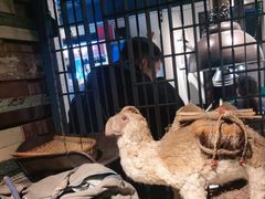 -可口香·非遗老号烧烤(南岗直营店)