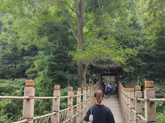 -凤栖山