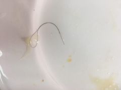 -小胖包子王(光明楼店)