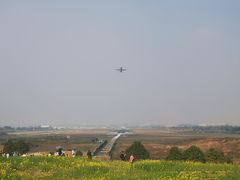-空港花田景区