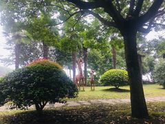 -同里湖度假村(二期店)
