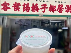 -洪馨椰子