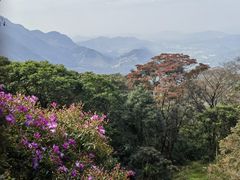 -广州市石门国家森林公园