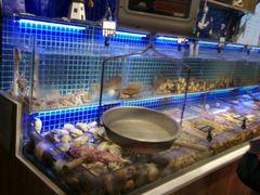 水产区-必点海鲜·鲅鱼水饺(鞍山西道店)