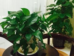 -中山大学附属肿瘤医院体检中心