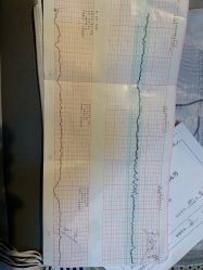 -沈阳市妇婴医院