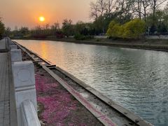 -坝河休闲公园