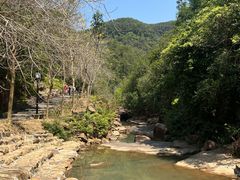 -广州白江湖森林公园