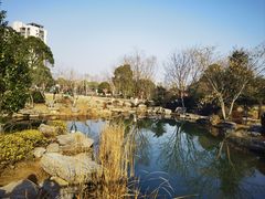 -桃花岭景区