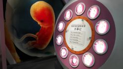 -北京科学中心儿童乐园