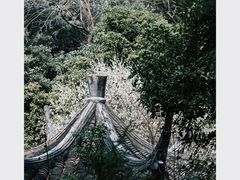 -杭州植物园
